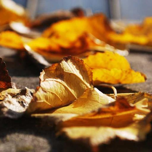 Tips Memulai Hobi Baru dengan Mudah dan Menyenangkan